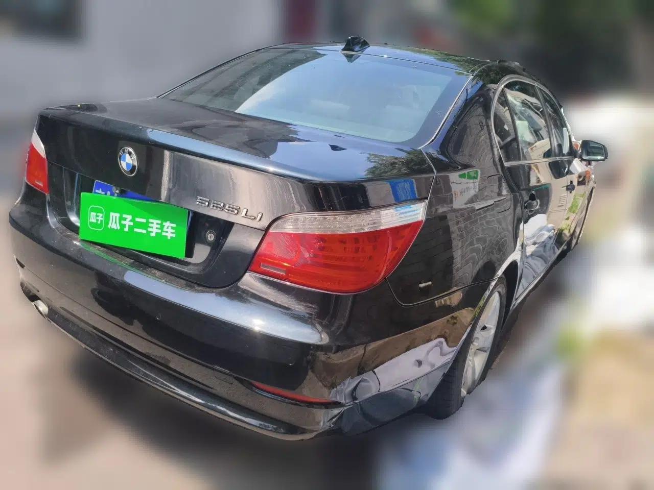 BMW 5 Series 2010 520Li Luxury Model — миниатюра 6