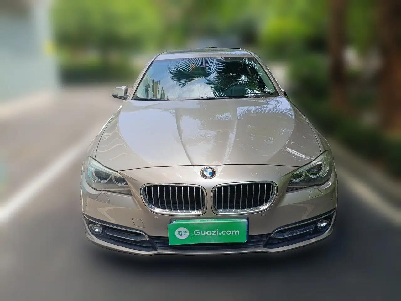 BMW 5 Series 2014 525Li Luxury Design Package — миниатюра 2