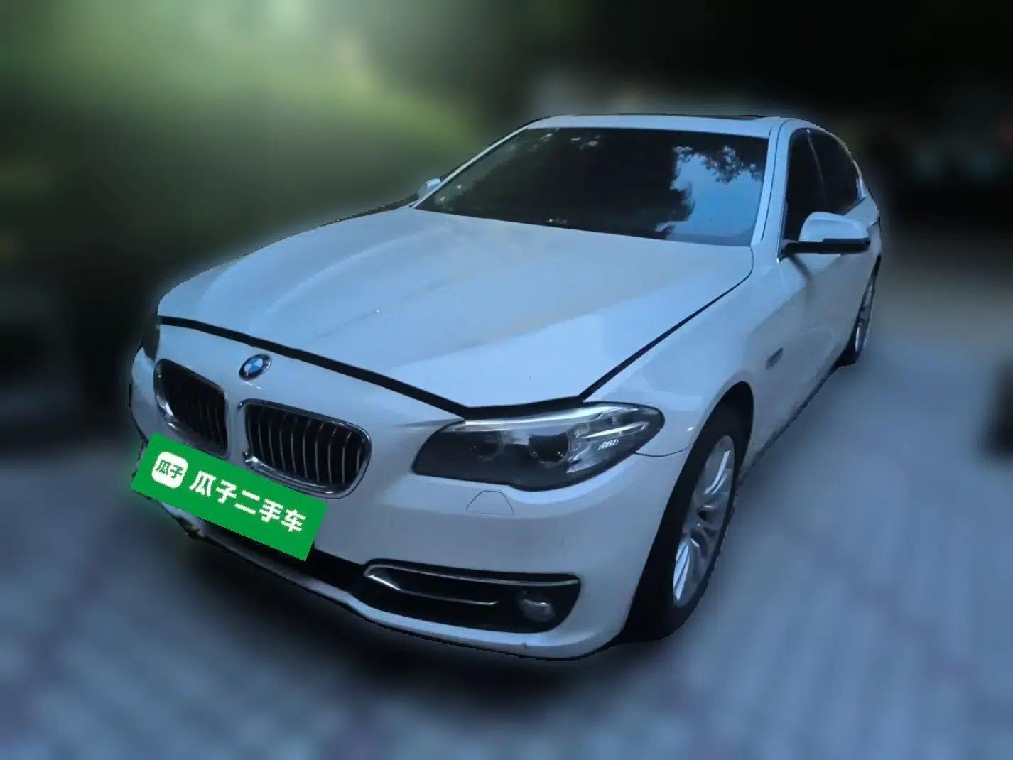 BMW 5 Series 2014 525Li Luxury Design Package — миниатюра 1