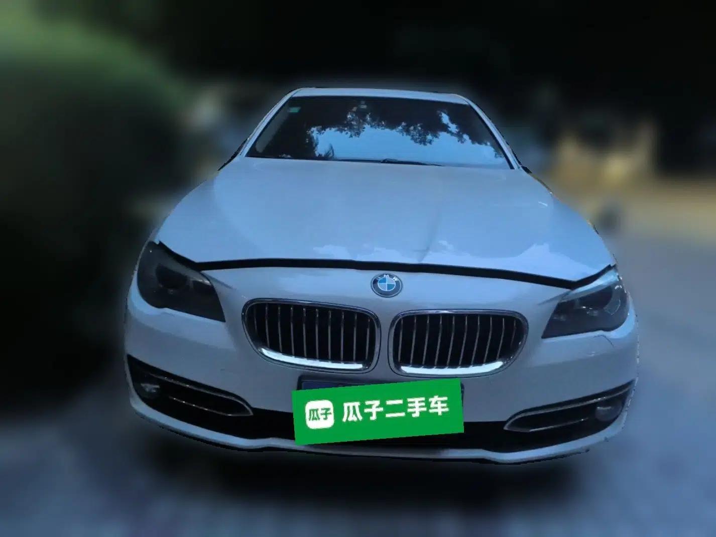 BMW 5 Series 2014 525Li Luxury Design Package — миниатюра 2