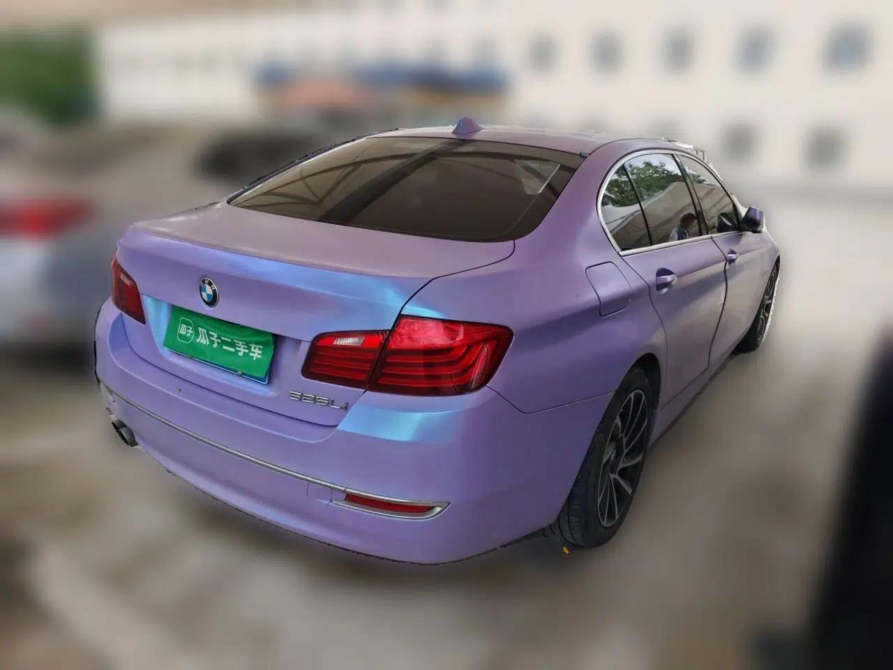 BMW 5 Series 2014 525Li Luxury Design Package — миниатюра 6