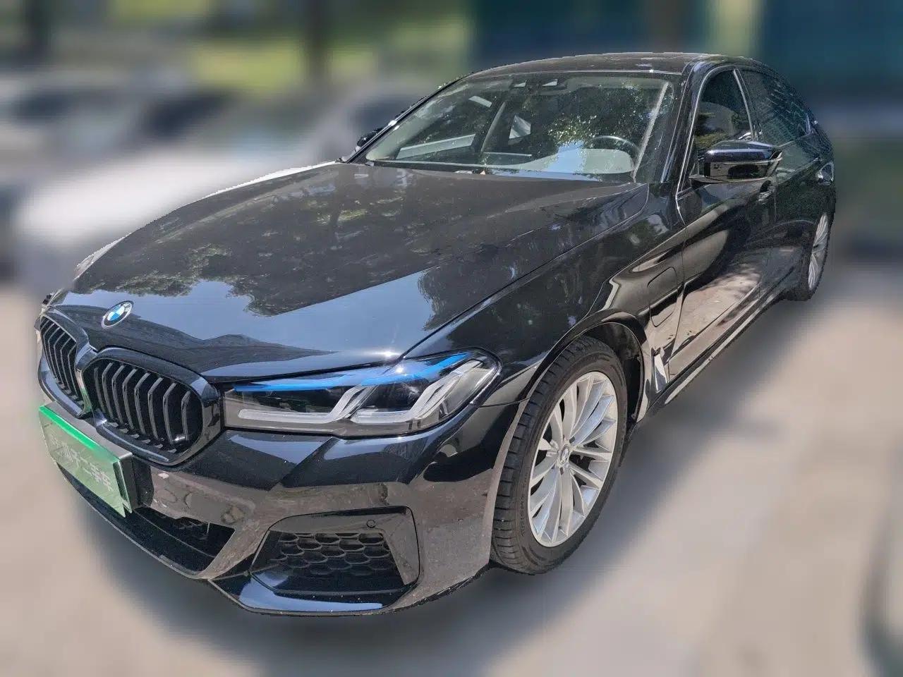 BMW 5 Series New Energy 2019 530Le Luxury Package — миниатюра 1