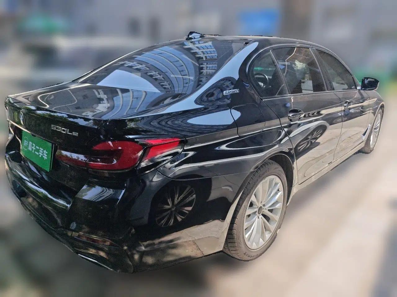 BMW 5 Series New Energy 2019 530Le Luxury Package — миниатюра 6