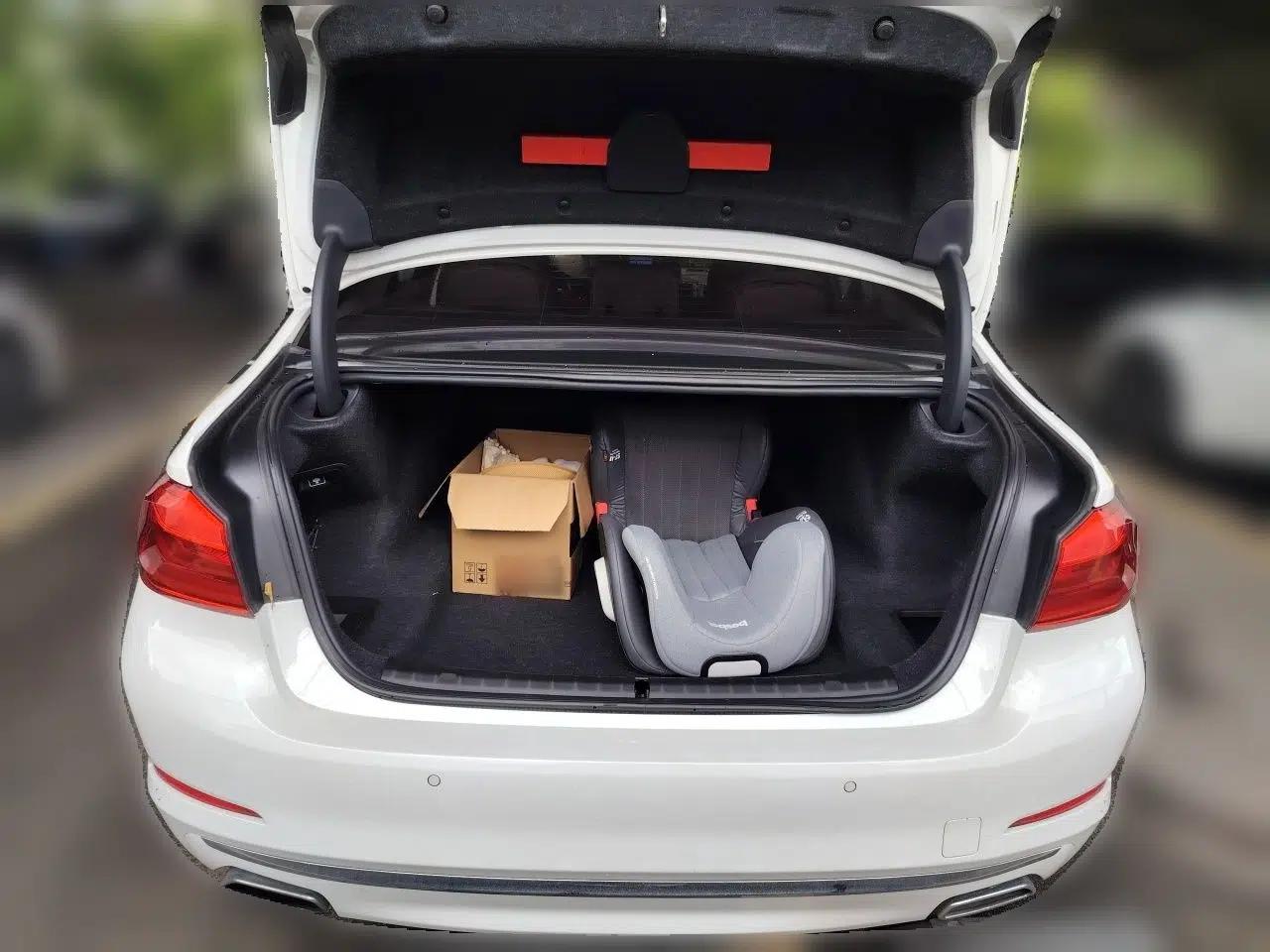 BMW 5 Series 2018 Revised Version 530Li Leading Edition Luxury Package — миниатюра 19
