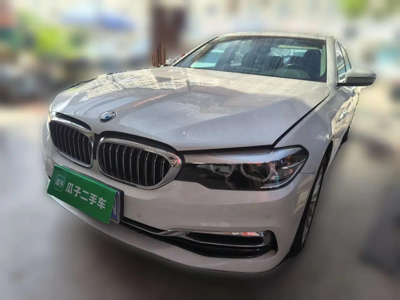 BMW 5 Series 2019 530Li Leading Model Luxury Package — миниатюра 1