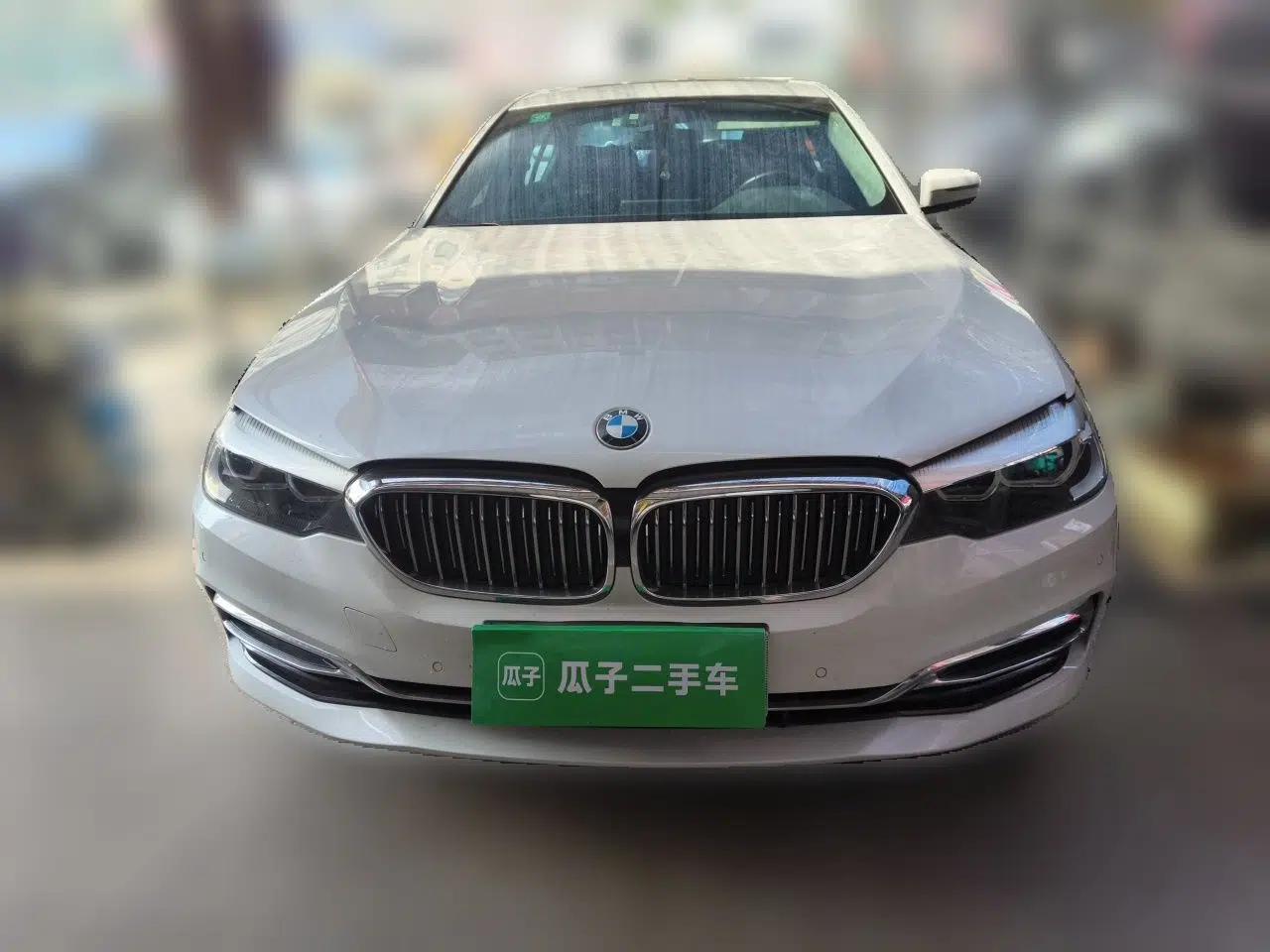 BMW 5 Series 2019 530Li Leading Model Luxury Package — миниатюра 2