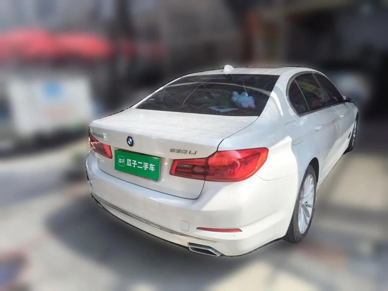 BMW 5 Series 2019 530Li Leading Model Luxury Package — миниатюра 6