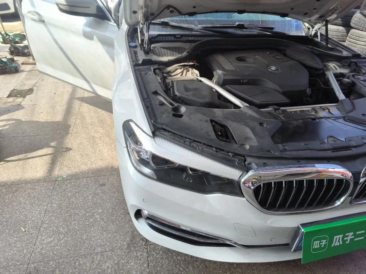 BMW 5 Series 2019 530Li Leading Model Luxury Package — миниатюра 7