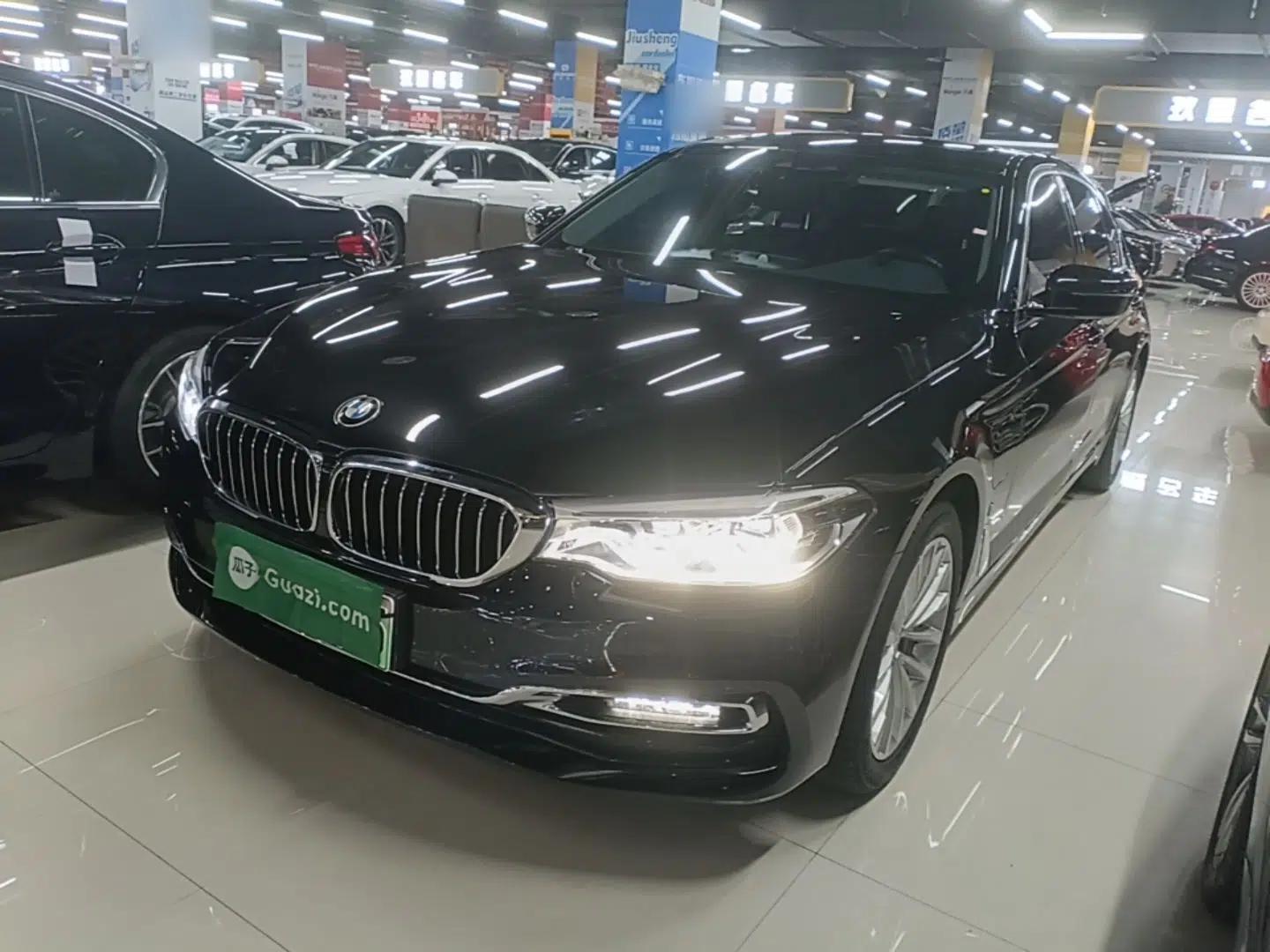 BMW 5 Series New Energy 2019 530Le Luxury Package — миниатюра 1