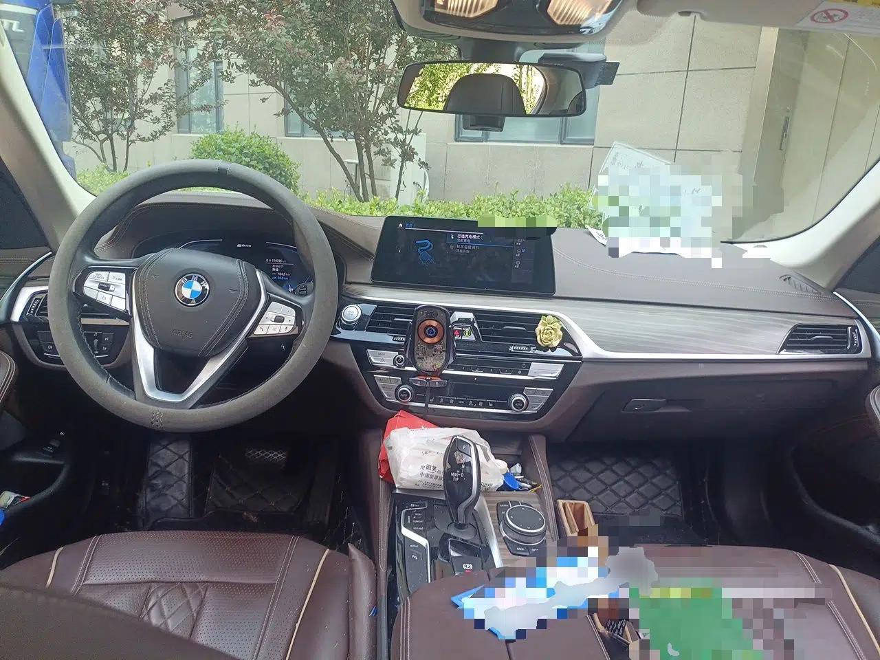 BMW 5 Series New Energy 2020 Mileage Upgrade Version 530Le Luxury Package — миниатюра 9