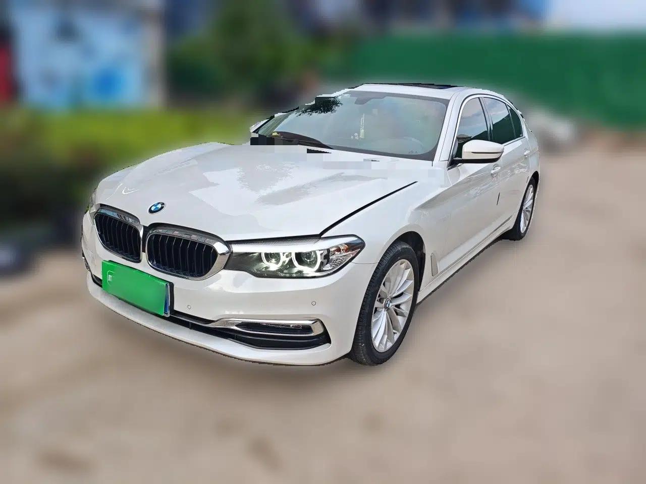 BMW 5 Series 2019 525Li Luxury Package — миниатюра 1