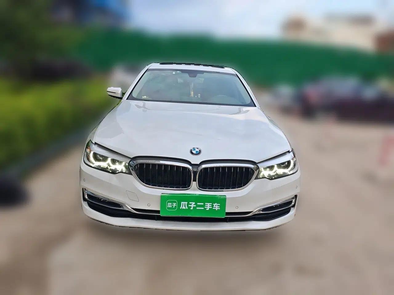 BMW 5 Series 2019 525Li Luxury Package — миниатюра 2