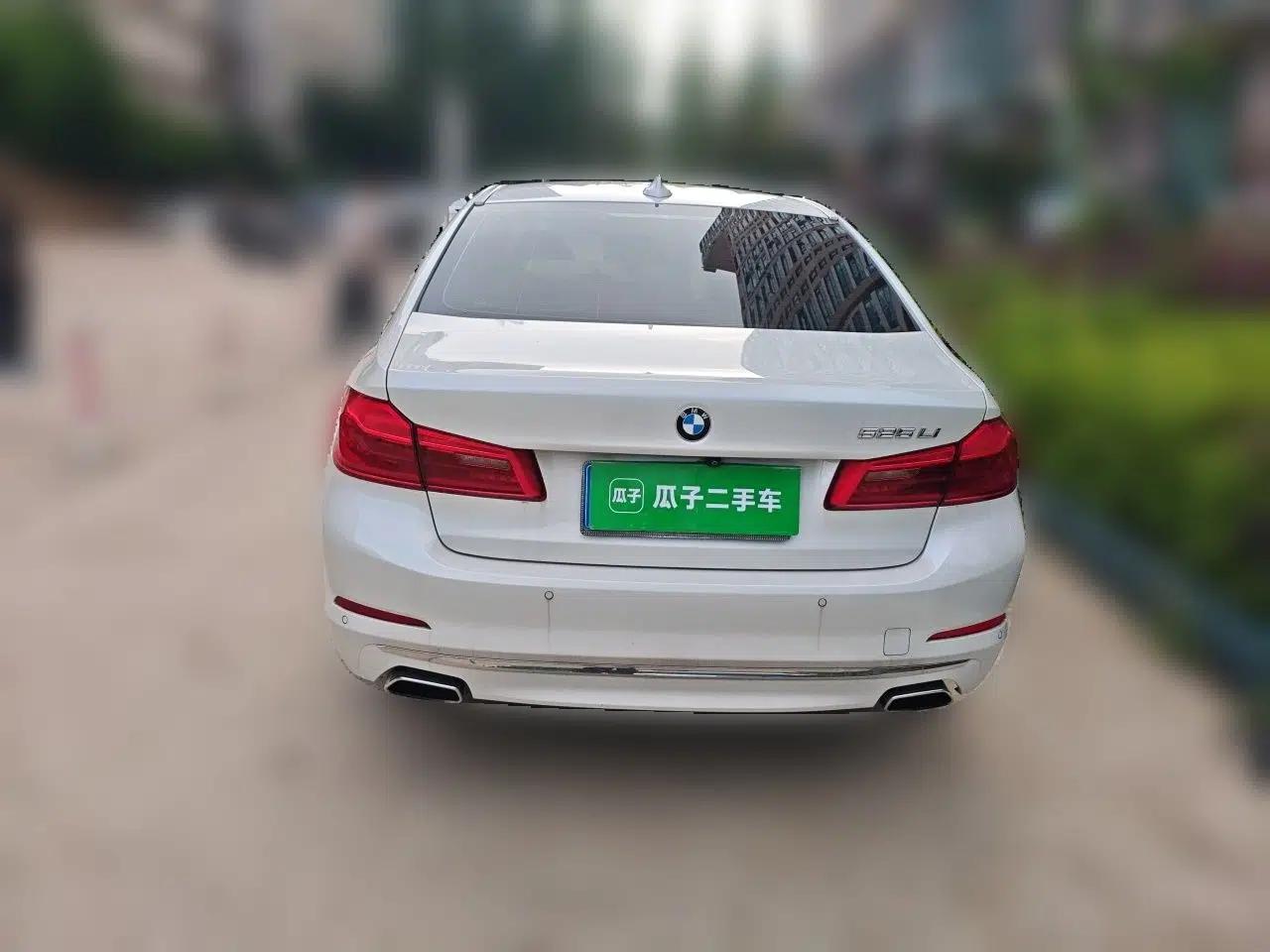 BMW 5 Series 2019 525Li Luxury Package — миниатюра 5