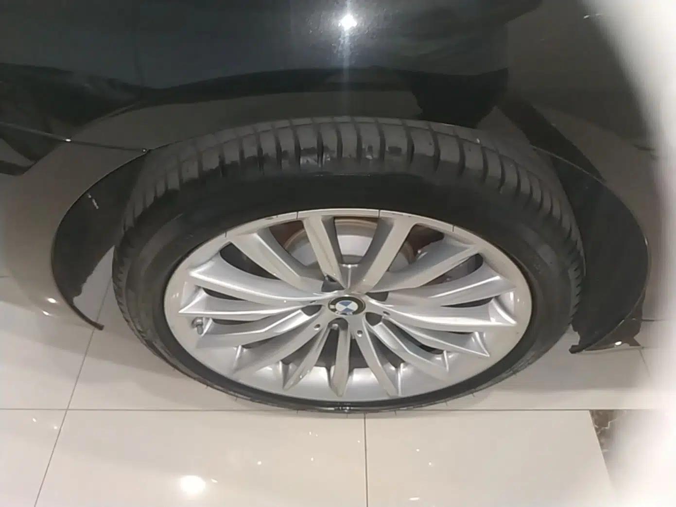 BMW 5 Series 2021 530Li Luxury Edition Premium Package — миниатюра 11