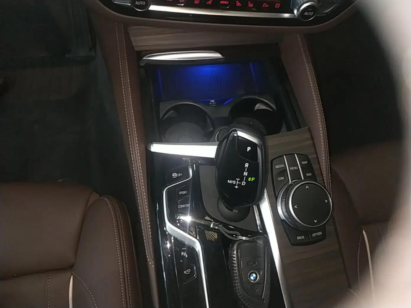 BMW 5 Series 2021 530Li Luxury Edition Premium Package — миниатюра 16
