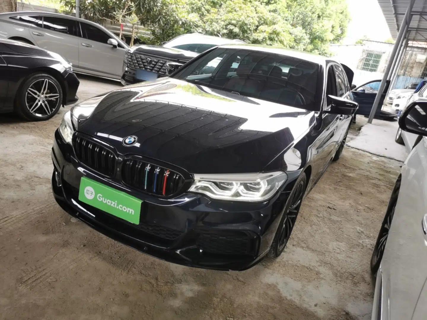 BMW 5 Series 2020 530Li Leading Model M Sport Package — миниатюра 1