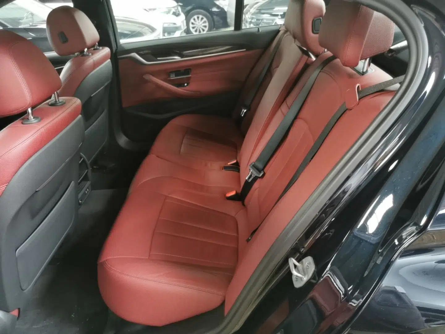 BMW 5 Series 2020 530Li Leading Model M Sport Package — миниатюра 25