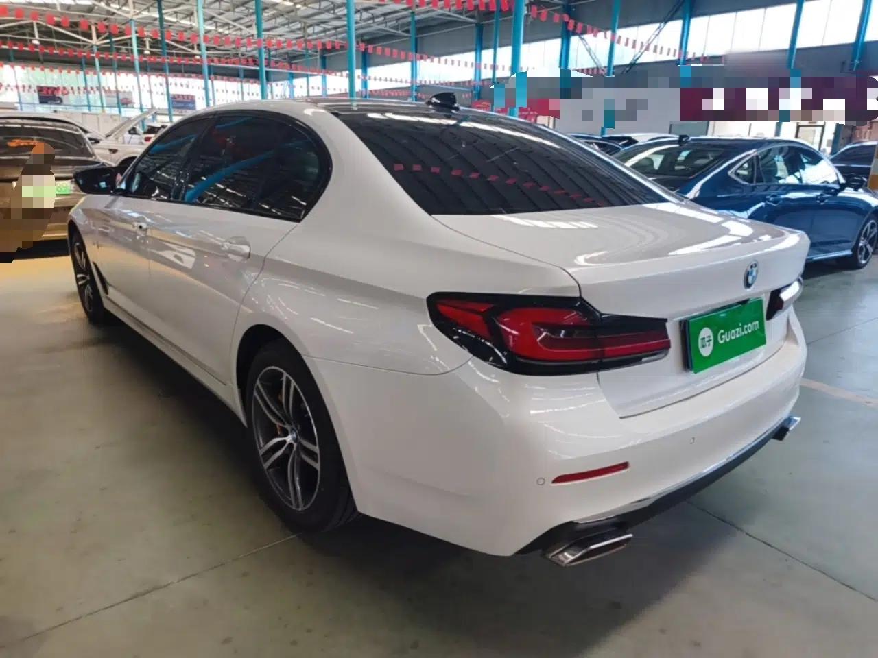 BMW 5 Series 2021 530Li Leading Luxury Package — миниатюра 13