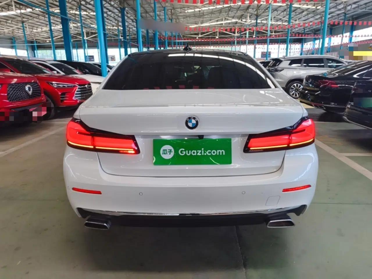 BMW 5 Series 2021 530Li Leading Luxury Package — миниатюра 5