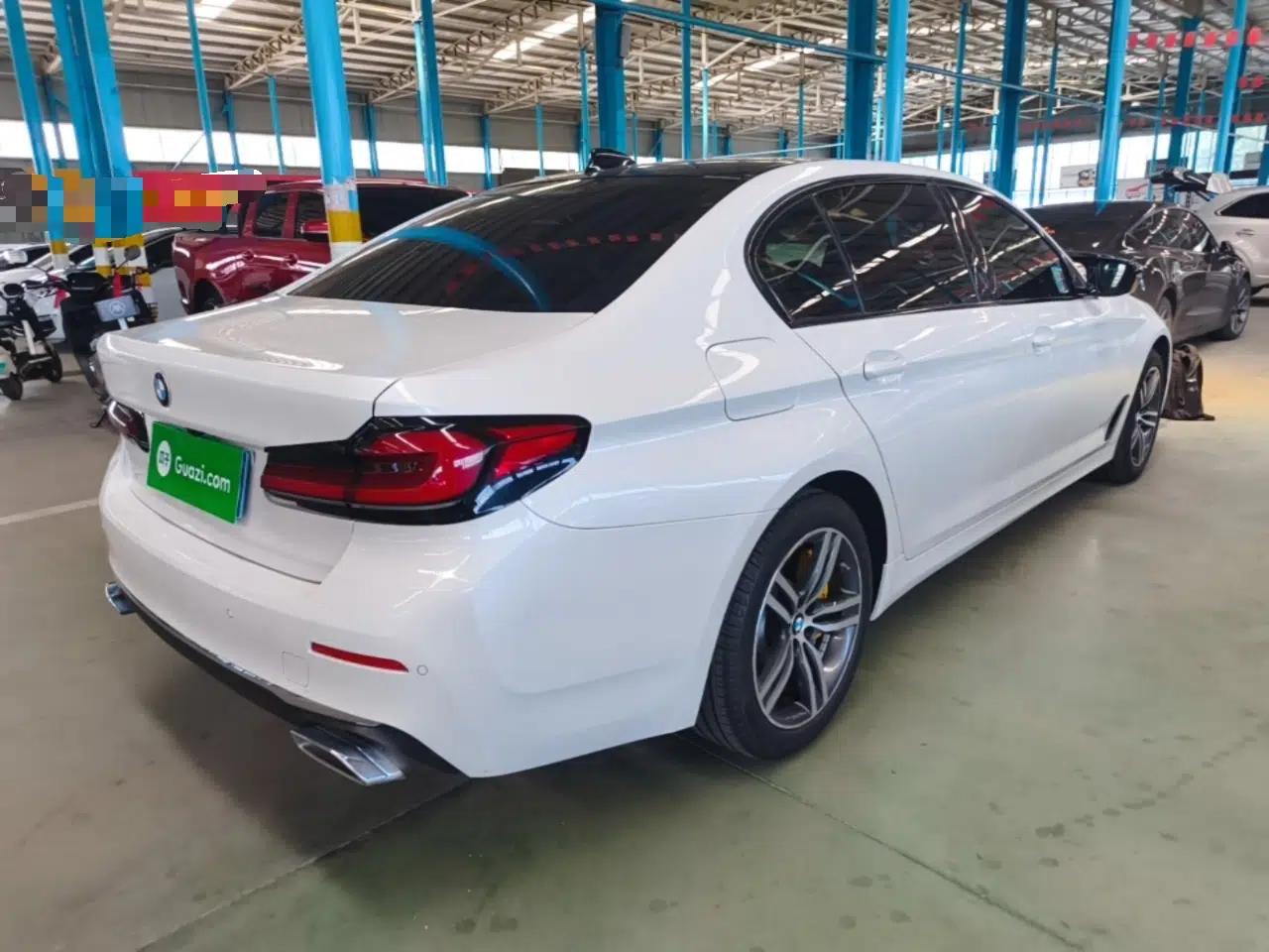 BMW 5 Series 2021 530Li Leading Luxury Package — миниатюра 6