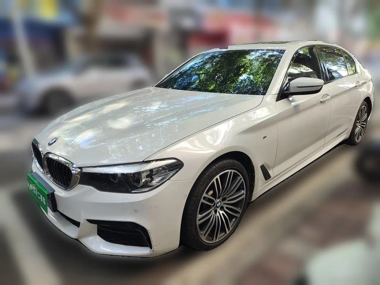 BMW 5 Series 2019 530Li Leading Model M Sport Package — миниатюра 1
