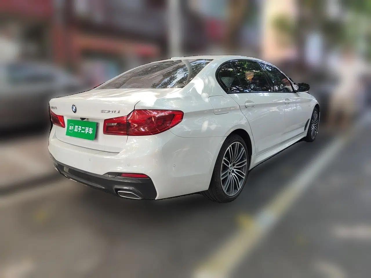 BMW 5 Series 2019 530Li Leading Model M Sport Package — миниатюра 6