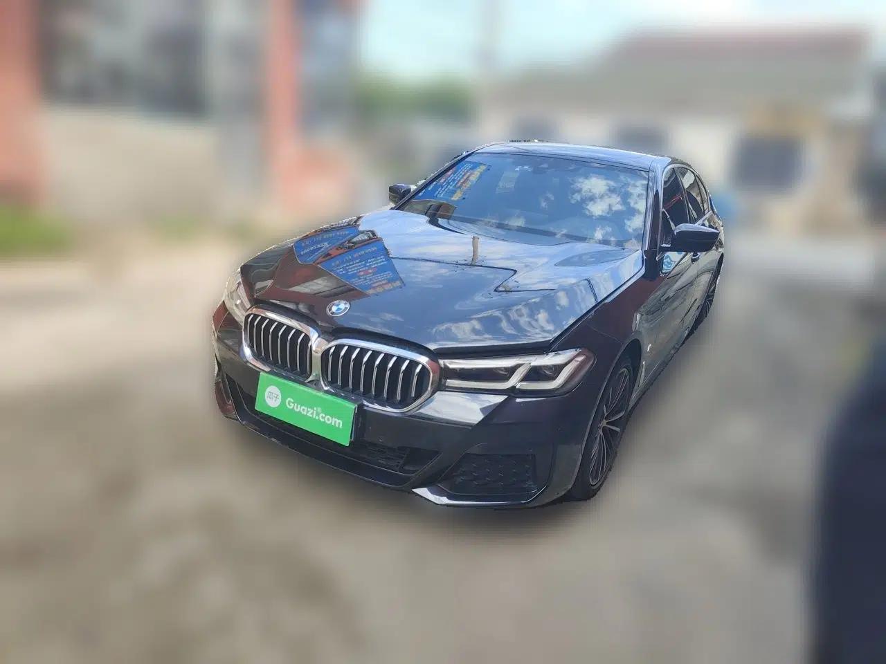 BMW 5 Series 2021 530Li Leading Luxury Package — миниатюра 1