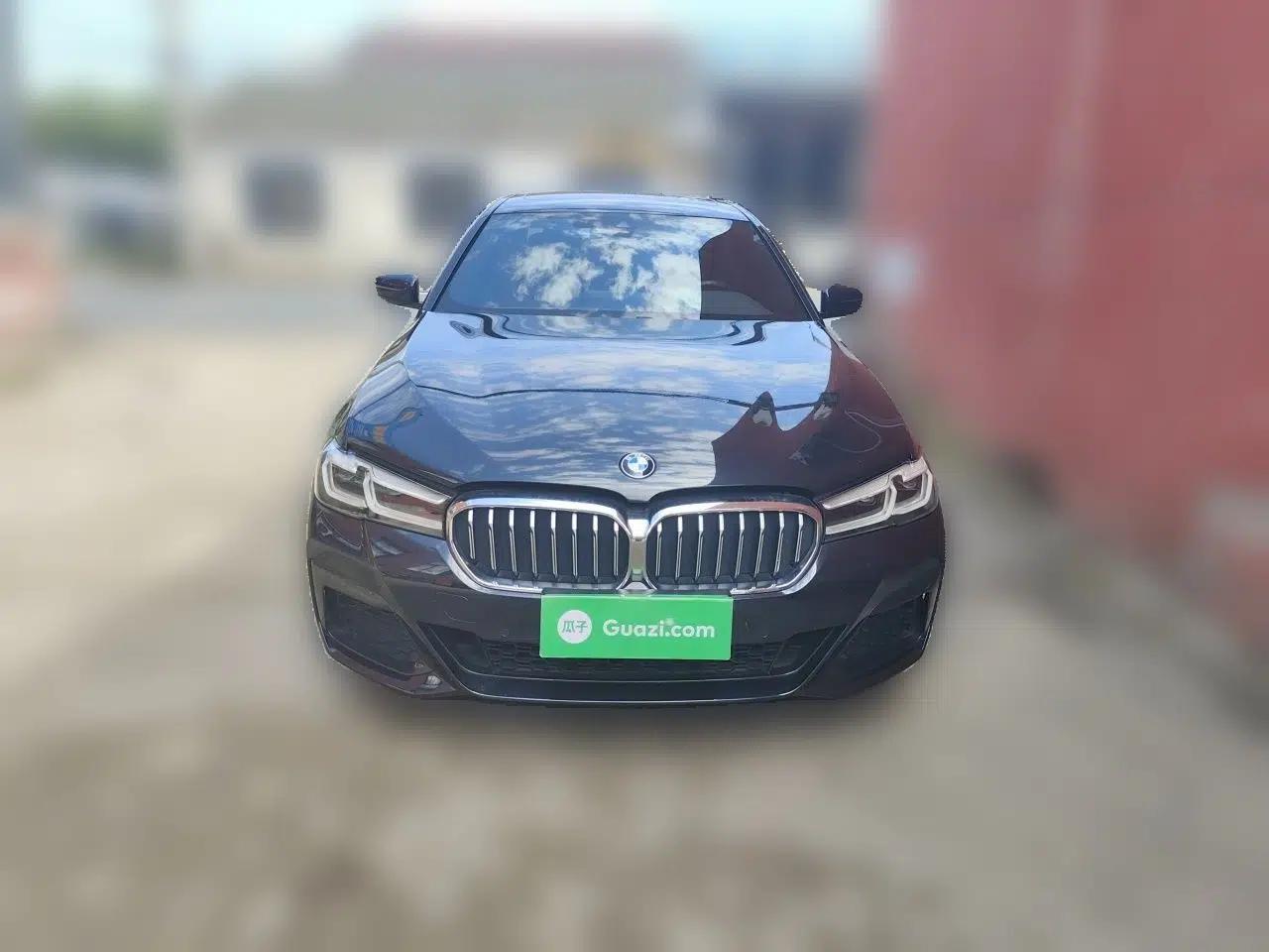 BMW 5 Series 2021 530Li Leading Luxury Package — миниатюра 2