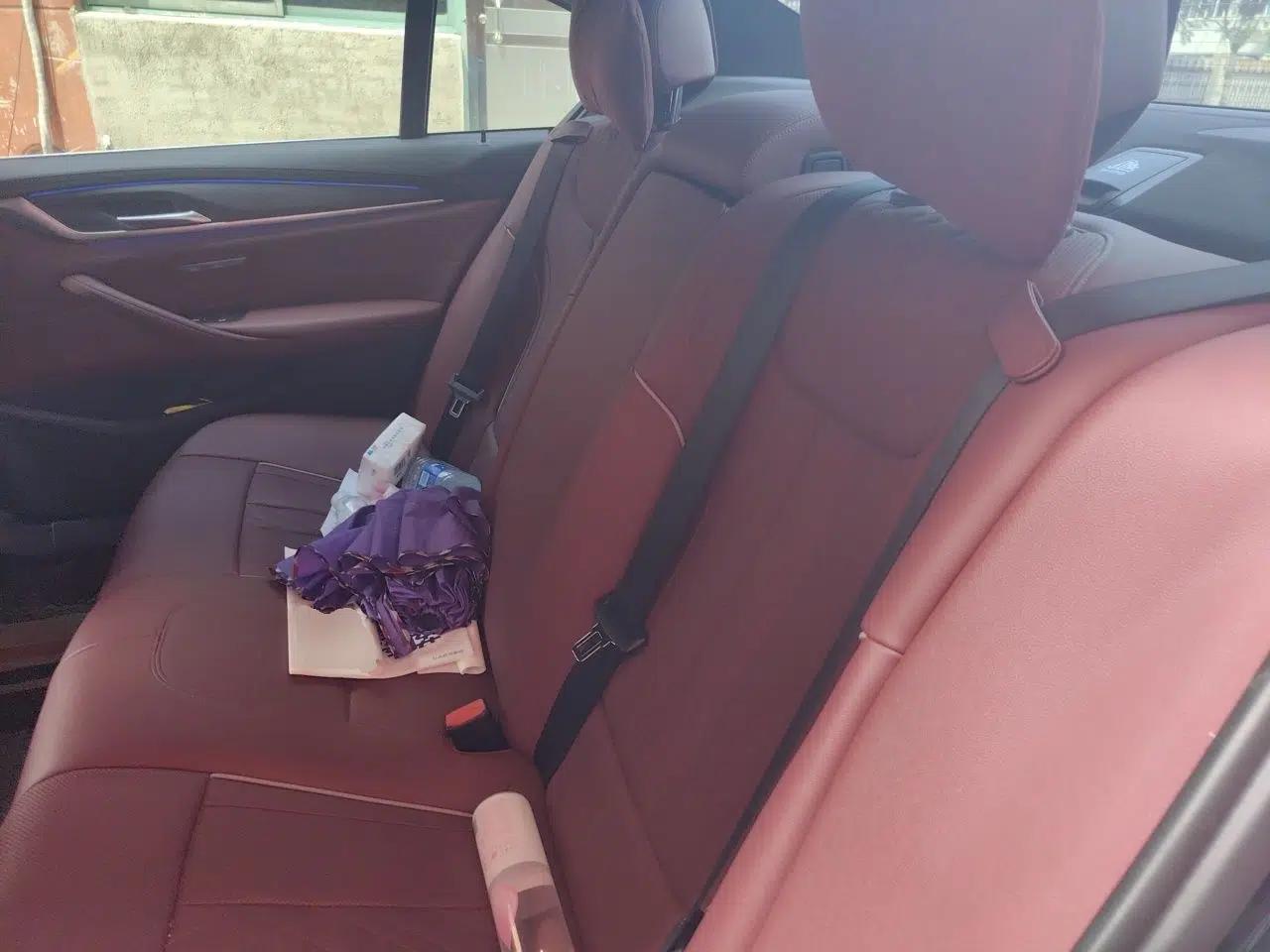 BMW 5 Series 2021 530Li Leading Luxury Package — миниатюра 17