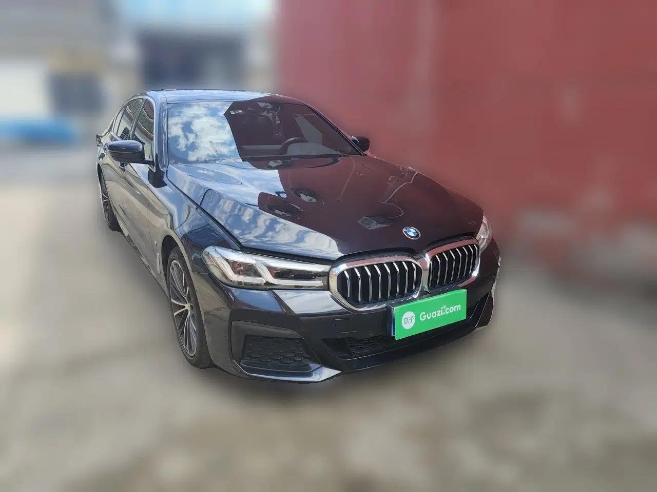 BMW 5 Series 2021 530Li Leading Luxury Package — миниатюра 3