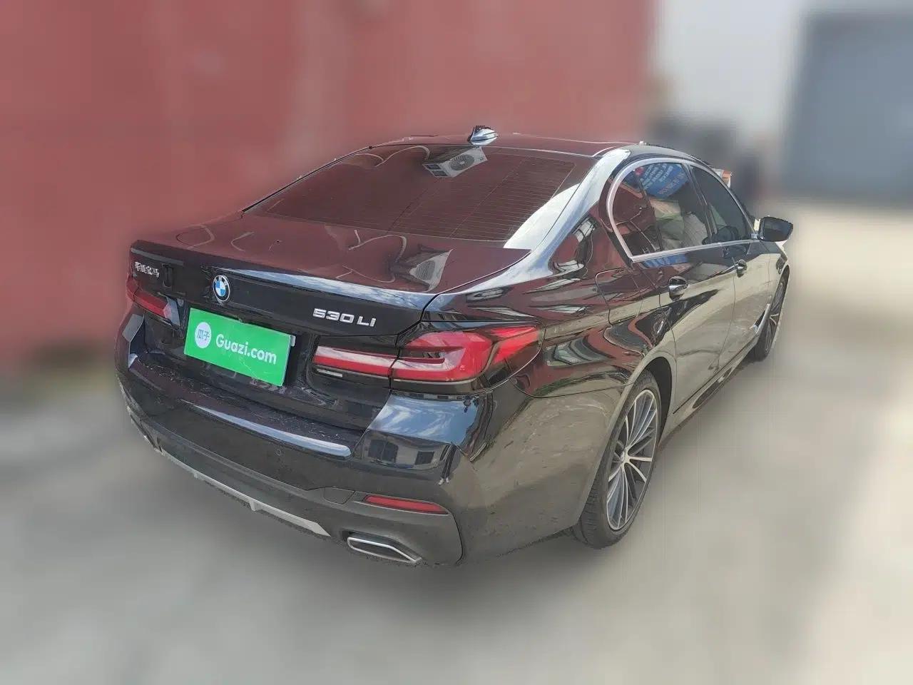 BMW 5 Series 2021 530Li Leading Luxury Package — миниатюра 6