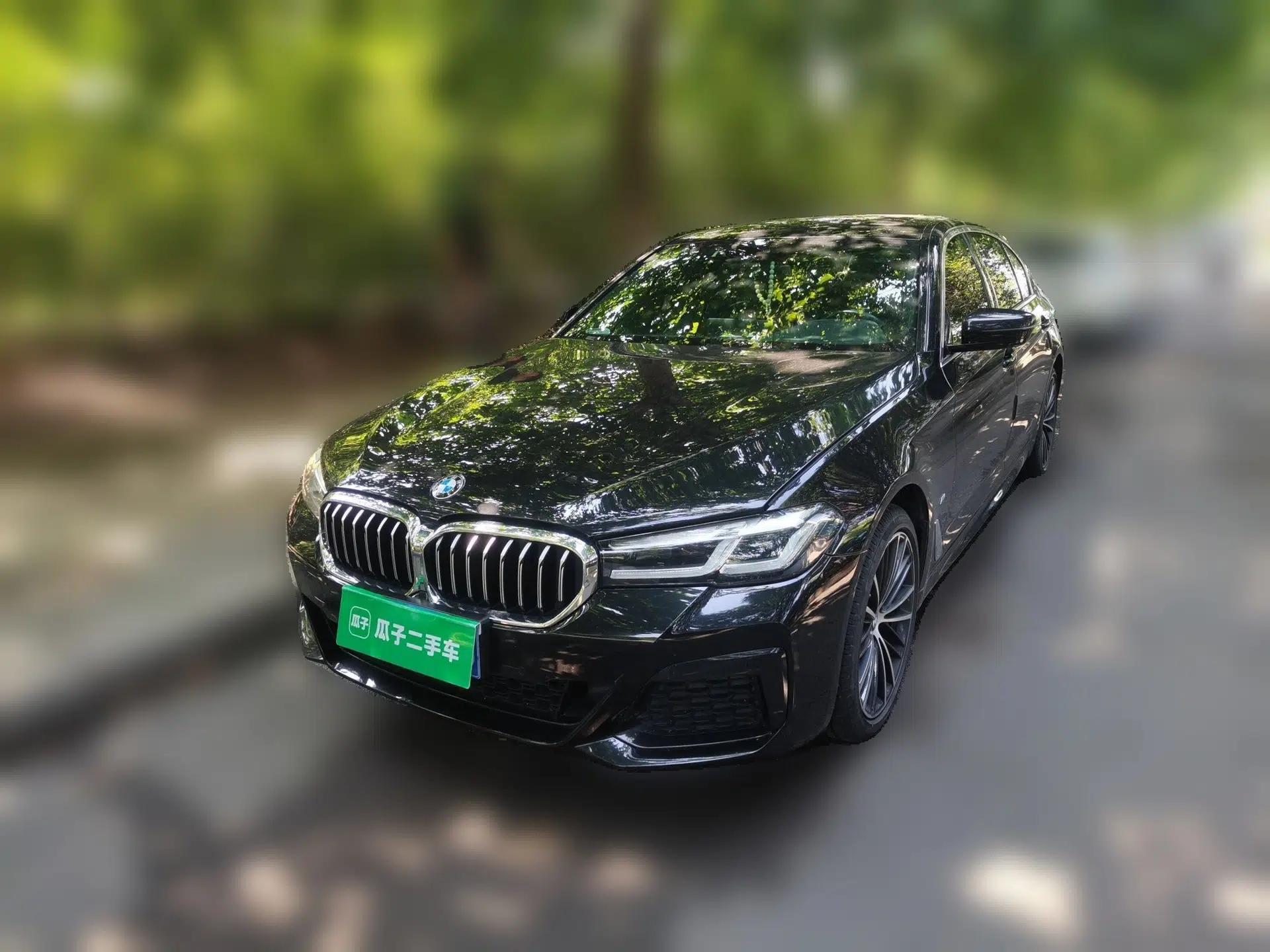 BMW 5 Series 2022 Restyled 530Li Leading Edition M Sport Package — миниатюра 1