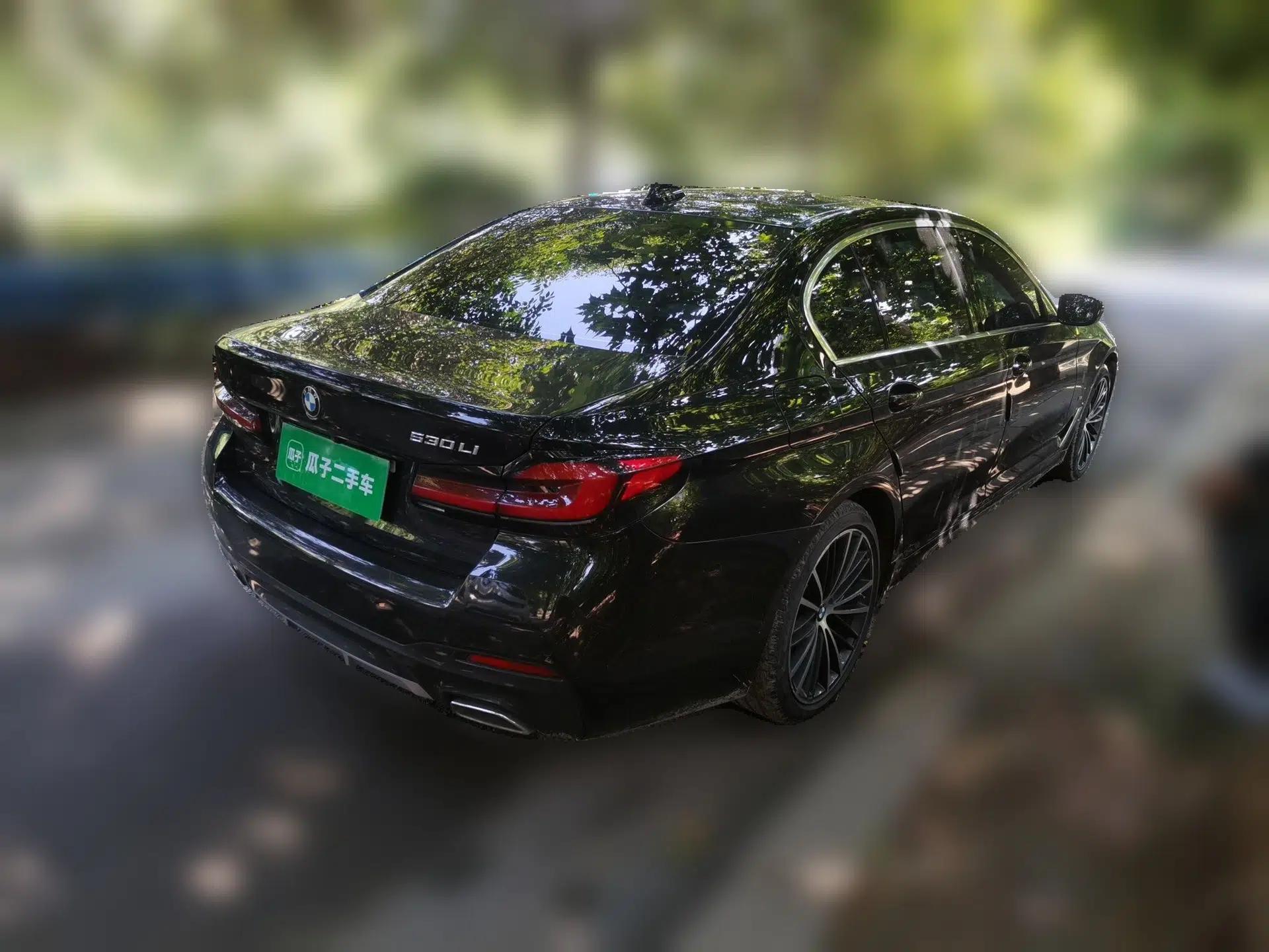 BMW 5 Series 2022 Restyled 530Li Leading Edition M Sport Package — миниатюра 6