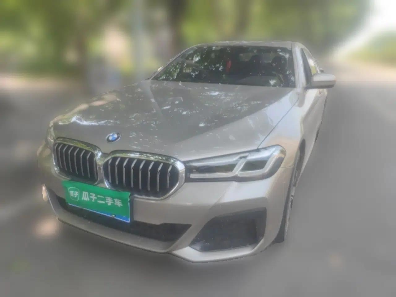 BMW 5 Series 2021 530Li Luxury Edition M Sport Package — миниатюра 1