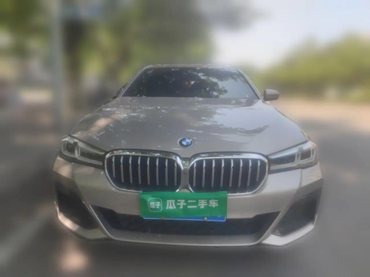 BMW 5 Series 2021 530Li Luxury Edition M Sport Package — миниатюра 2