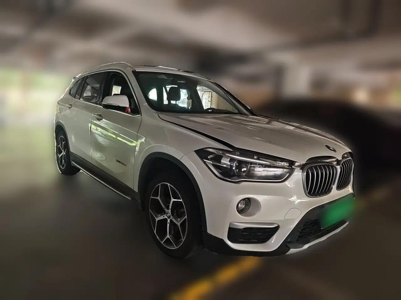 BMW X1 2018 xDrive20Li Luxury Edition — миниатюра 3
