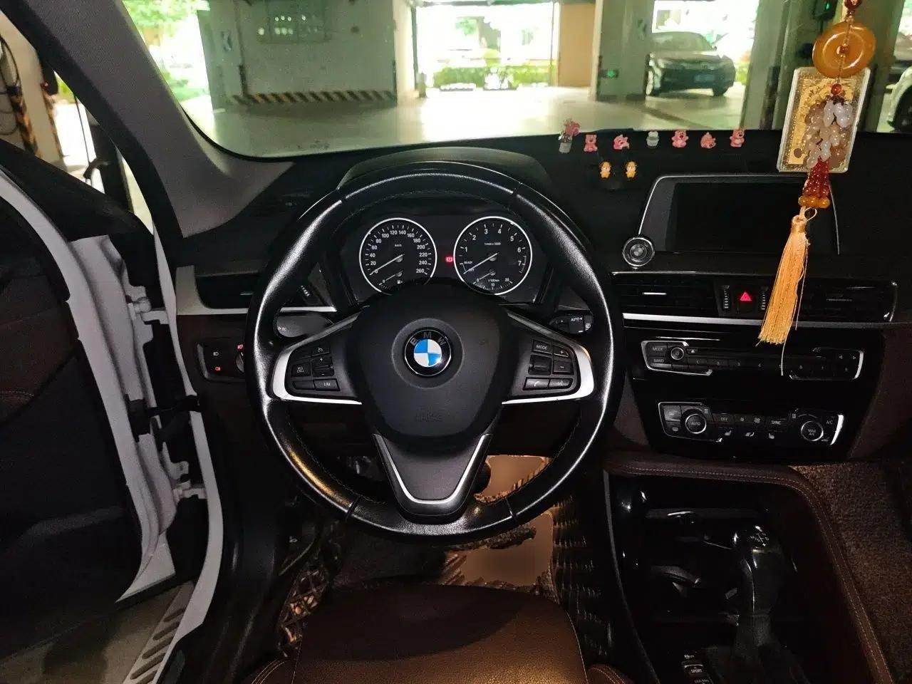 BMW X1 2018 xDrive20Li Luxury Edition — миниатюра 10