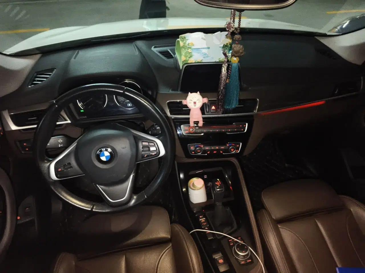 BMW X1 New Energy 2018 xDrive25Le Luxury Model — миниатюра 9