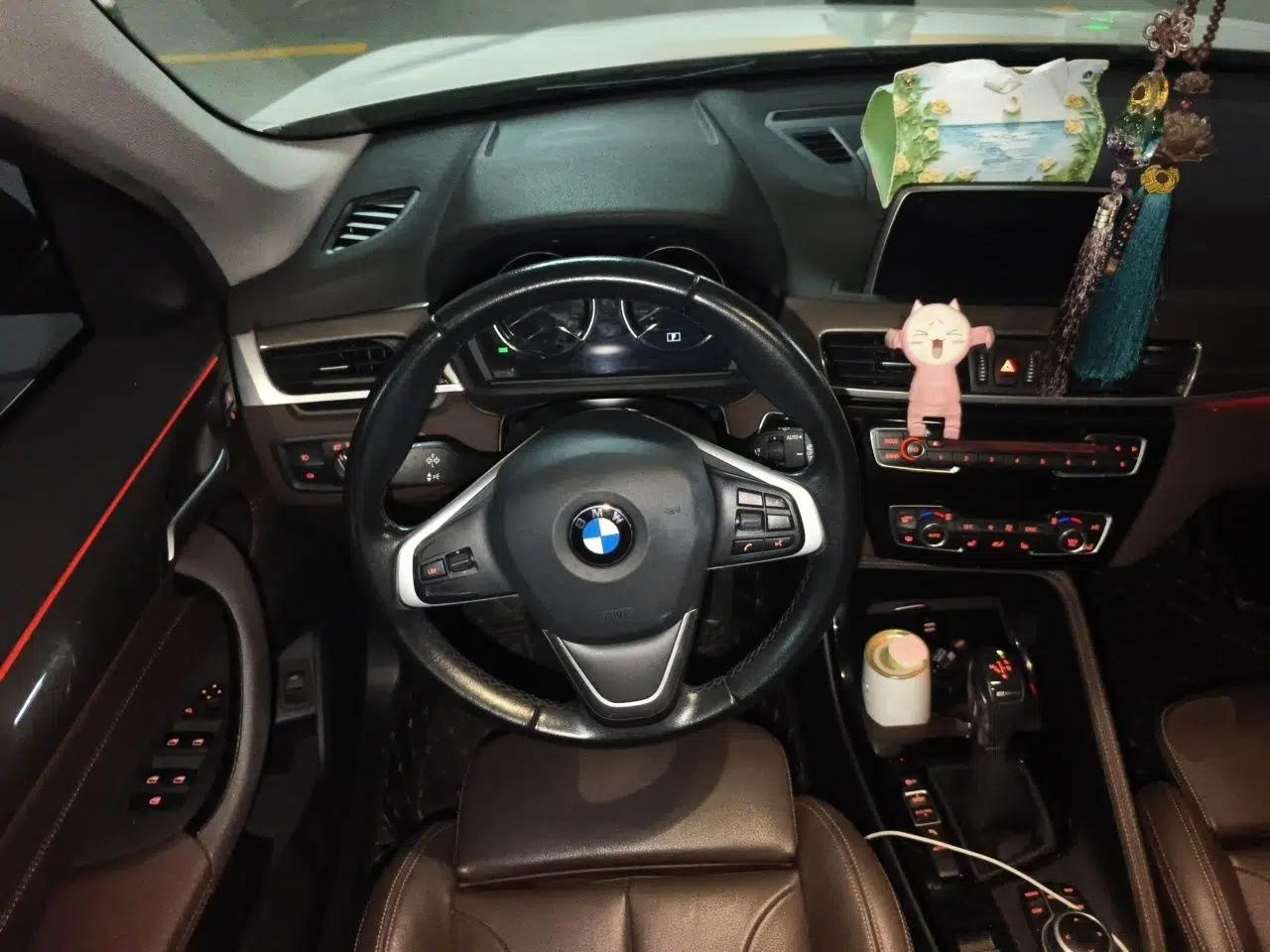 BMW X1 New Energy 2018 xDrive25Le Luxury Model — миниатюра 10