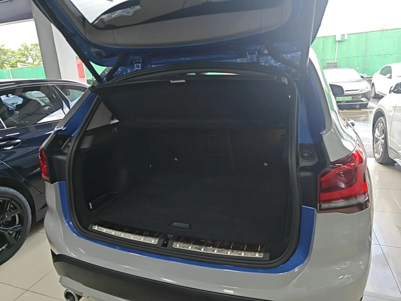 BMW X1 New Energy 2020 xDrive30Le Premium Edition — миниатюра 22