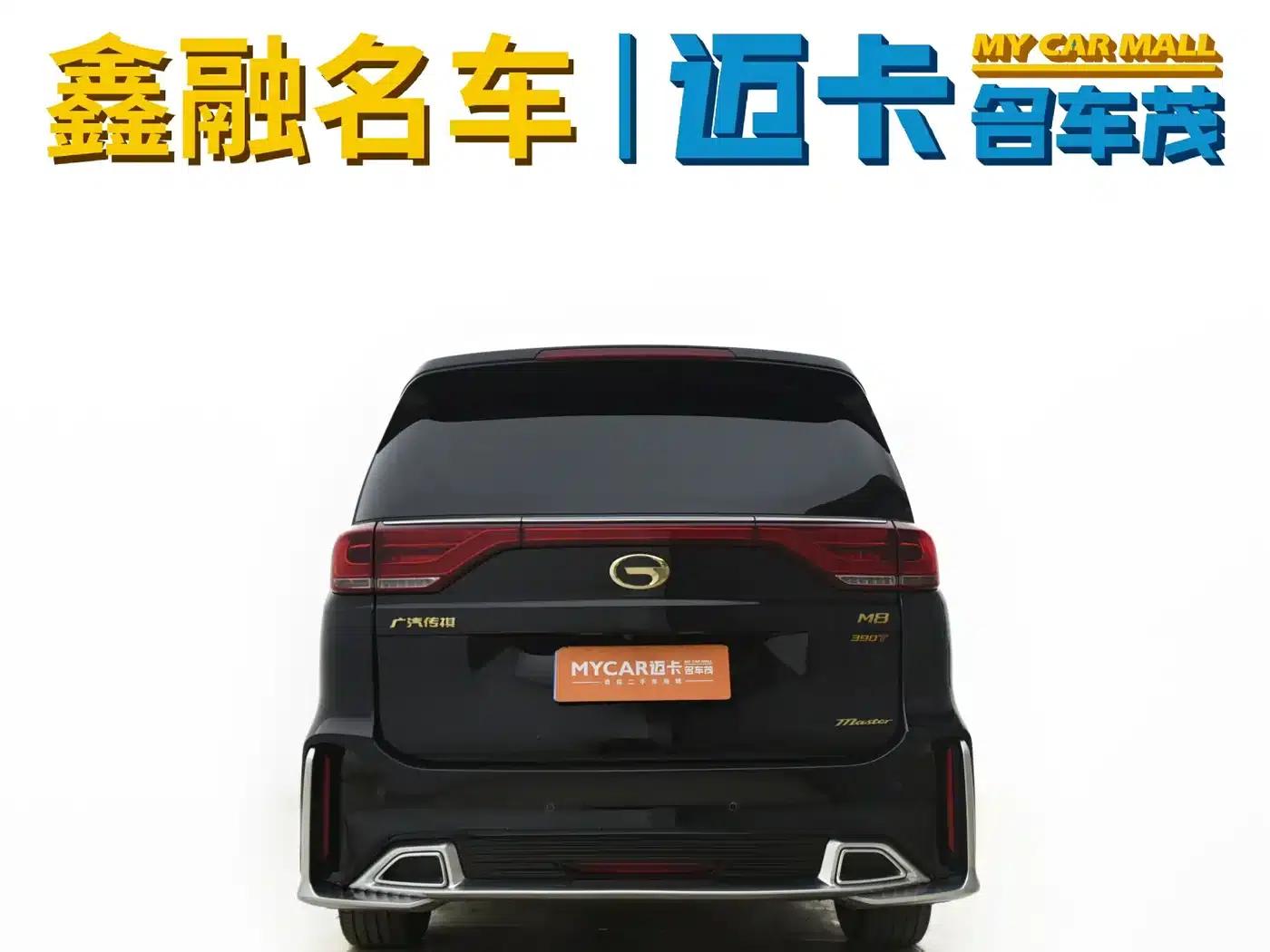 Trumpchi M8 2021 Master Series 390T Four-Seat Royal Edition — миниатюра 10