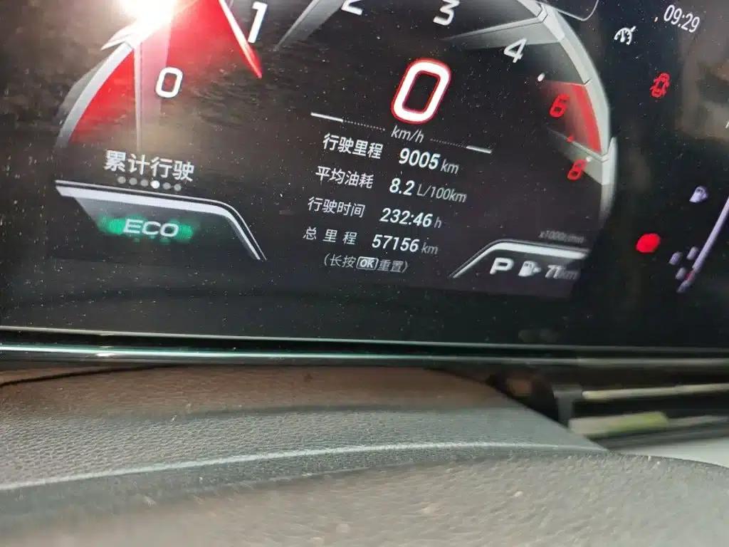 Shadow Leopard 2021 270T DCT J15 Edition — миниатюра 9