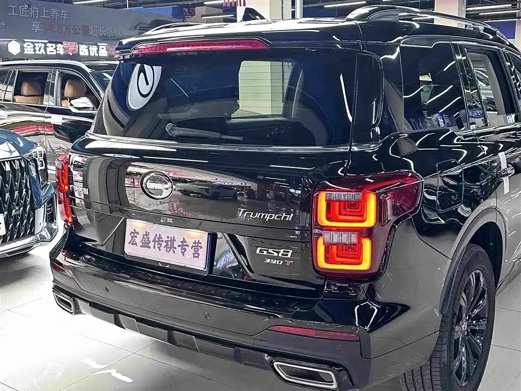 Trumpchi GS8 2021 390T 2WD Dark Knight Edition — миниатюра 9