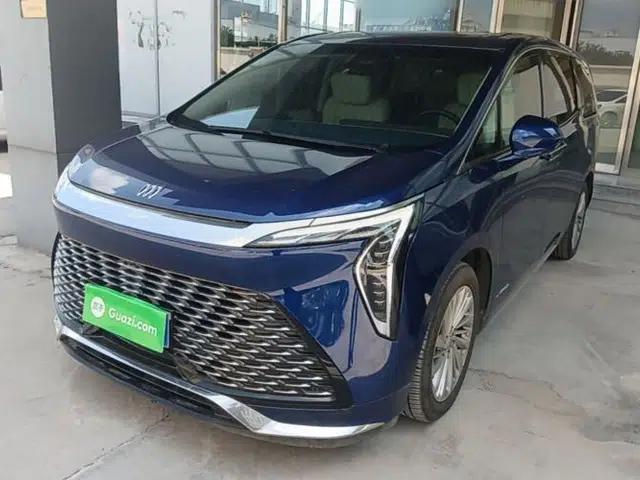 Buick Century 2023 2.0T Six-Seater Yinshi Edition