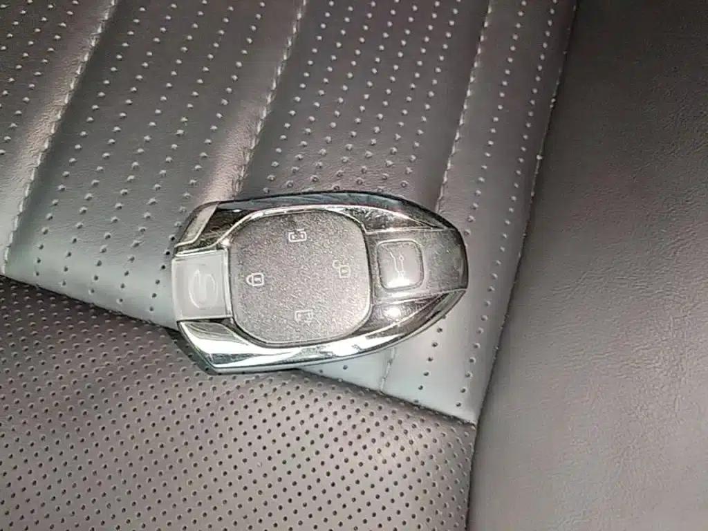 Trumpchi E9 2023 E9 MAX — миниатюра 9