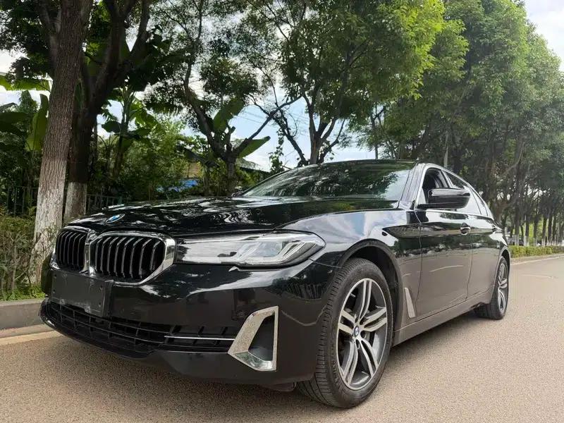 BMW 5 Series 2021 530Li Leading Luxury Package — миниатюра 1