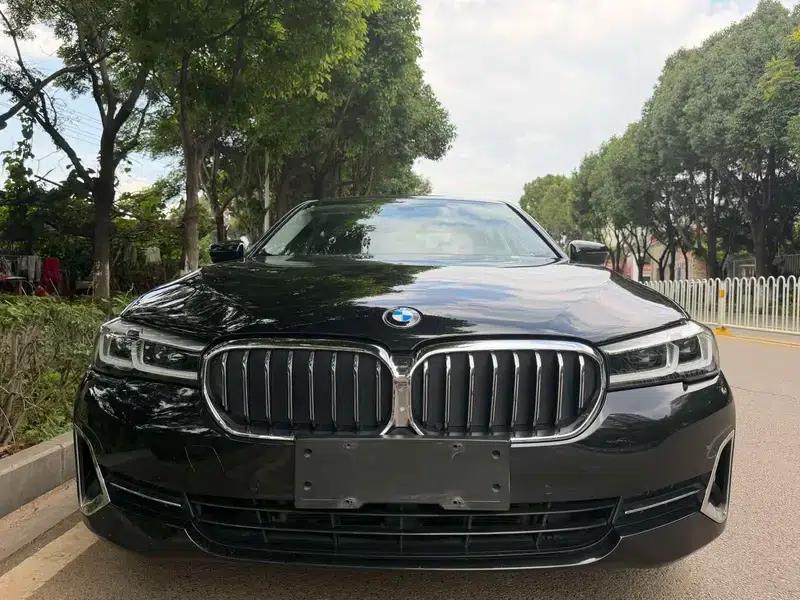 BMW 5 Series 2021 530Li Leading Luxury Package — миниатюра 2