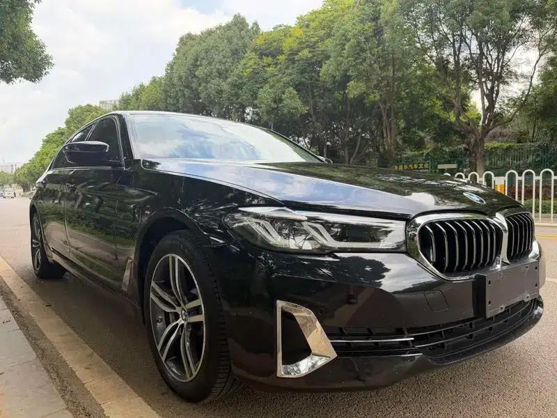 BMW 5 Series 2021 530Li Leading Luxury Package — миниатюра 3