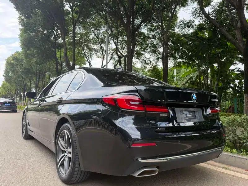 BMW 5 Series 2021 530Li Leading Luxury Package — миниатюра 4
