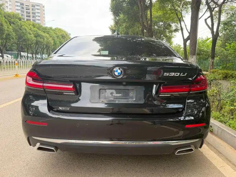 BMW 5 Series 2021 530Li Leading Luxury Package — миниатюра 5